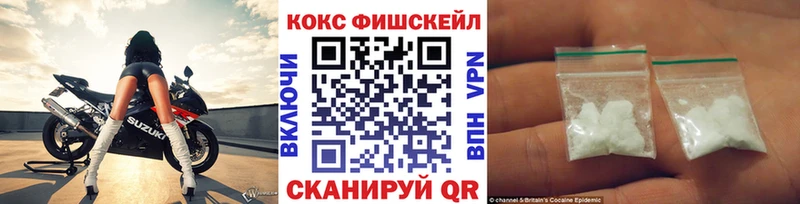Cocaine Fish Scale  Купить закладки  Кохма 