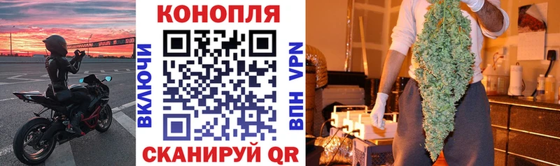 Купить  Кохма  МАРИХУАНА семена 